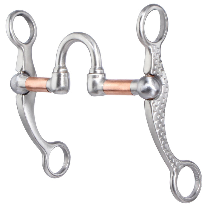 Professional’s Choice Correction Rasp Shank Bit - Jeffers - Horse Supplies > Horse Tack > Bridle Bits