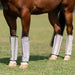 Professional's Choice Deluxe Fly Boots, 4 pack - Jeffers - Horse Supplies > Horse Boots & Leg Wraps