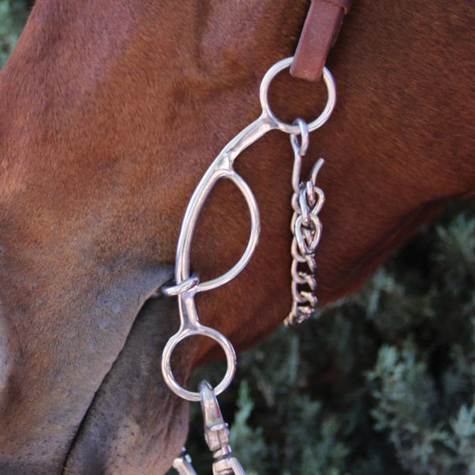 Professional's Choice Futurity Bit, 5.75' Mouth w/ 5.5' Cheeks - Jeffers - Horse Supplies > Horse Tack > Bridle Bits