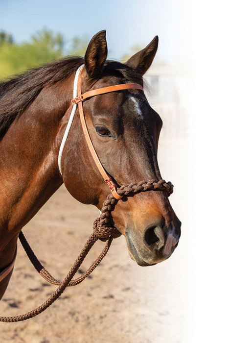 Professional's Choice Loping Hackamore - Jeffers - Horse Supplies > Horse Tack > Bridle Bits