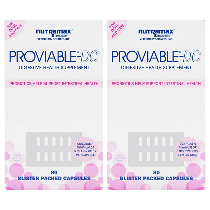 Proviable - DC for Dogs and Cats - Jeffers - Animal Health & Wellness > Vitamins & Supplements