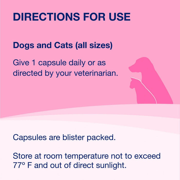 Proviable - DC for Dogs and Cats - Jeffers - Animal Health & Wellness > Vitamins & Supplements