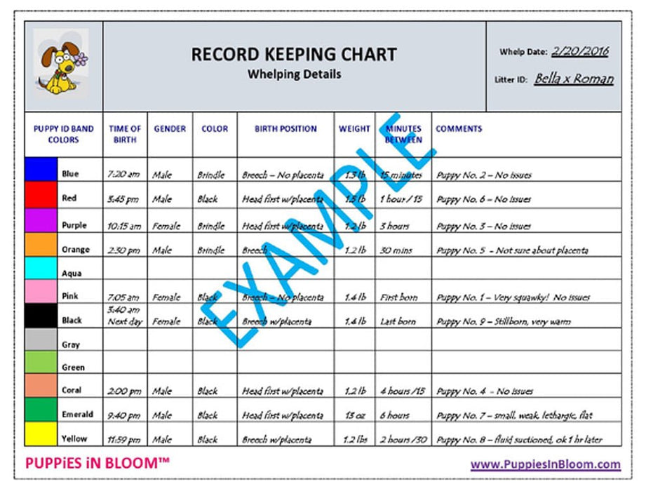 Puppies in Bloom Breeder Record Keeping Charts - Jeffers - Animal Health & Wellness > Medical Supplies