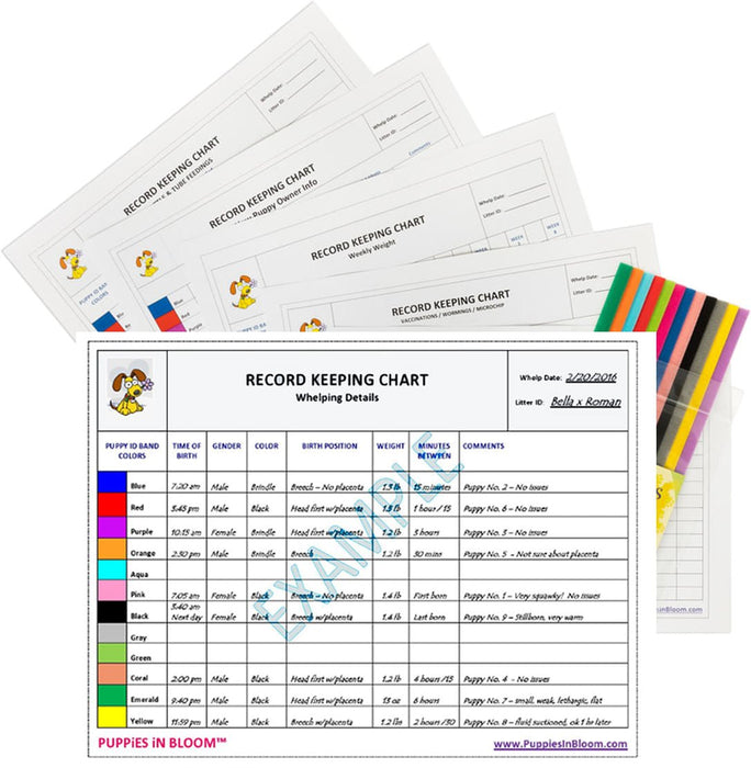 Puppies in Bloom Breeder Record Keeping Charts - Jeffers - Animal Health & Wellness > Medical Supplies