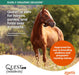 Quest Gel Horse Dewormer - Jeffers - Animal Health & Wellness > Medicine