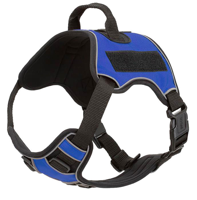 Quest Multi - Purpose Harness, Large - Jeffers - Dog Supplies > Dog Apparel > Dog Collars, Harnesses, & Leashes