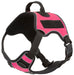 Quest Multi - Purpose Harness, Large - Jeffers - Dog Supplies > Dog Apparel > Dog Collars, Harnesses, & Leashes