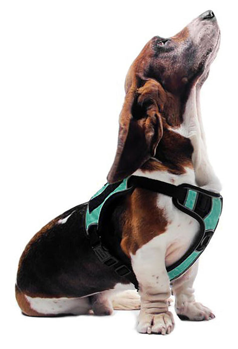 Quest Multi - Purpose Harness, Large - Jeffers - Dog Supplies > Dog Apparel > Dog Collars, Harnesses, & Leashes