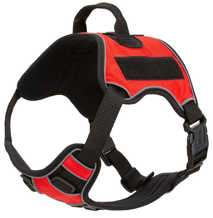 Quest Multi - Purpose Harness, Large - Jeffers - Dog Supplies > Dog Apparel > Dog Collars, Harnesses, & Leashes