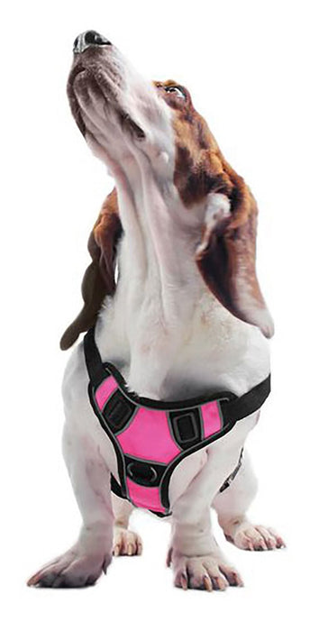 Quest Multi - Purpose Harness, Small - Jeffers - Dog Supplies > Dog Apparel > Dog Collars, Harnesses, & Leashes