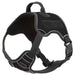 Quest Multi - Purpose Harness, XLarge - Jeffers - Dog Supplies > Dog Apparel > Dog Collars, Harnesses, & Leashes