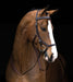 Rambo Micklem Competition Bridle, Dark Havana - Jeffers - Horse Supplies > Horse Tack > Bridles & Headstalls