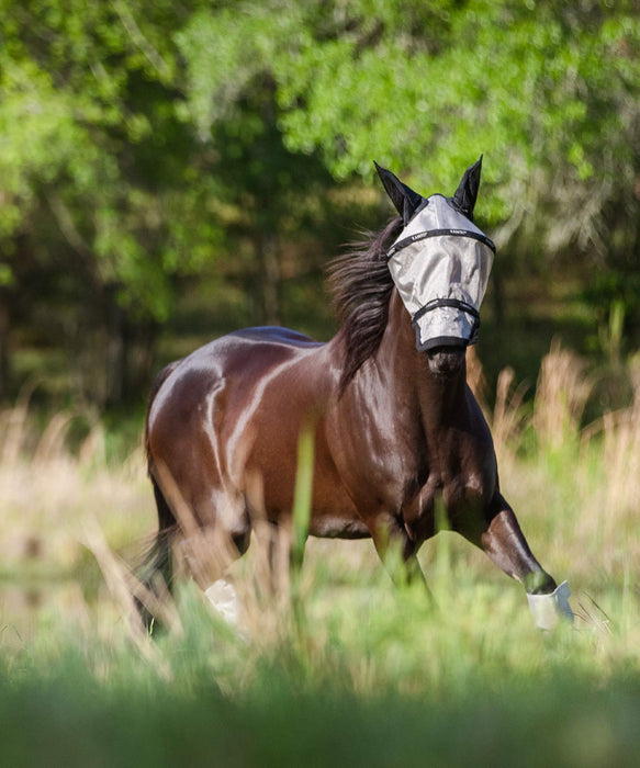 Rambo Plus Fly Mask, Oatmeal/Black - Jeffers - Horse Supplies > Horse Fly Masks