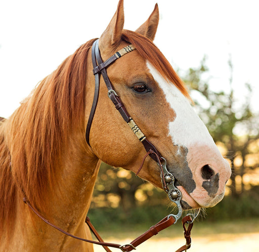 Rawhide Braided Browband Headstall - Jeffers - Horse Supplies > Horse Tack > Bridles & Headstalls