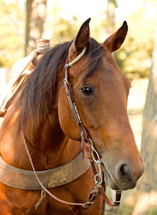 Rawhide Braided Slip Ear Headstall - Jeffers - Horse Supplies > Horse Tack > Bridles & Headstalls