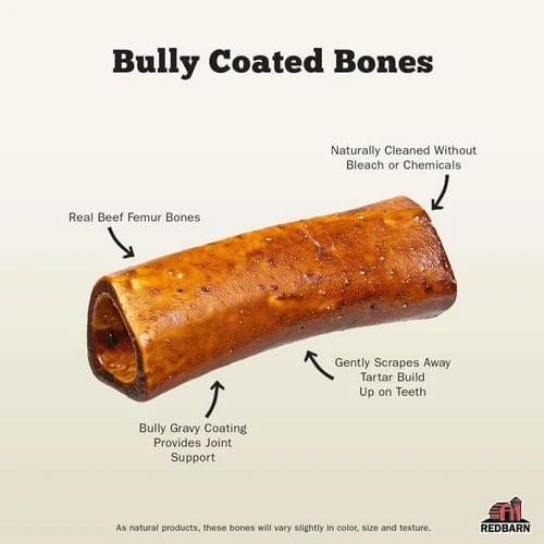 Redbarn Bully Coated Large Bone - Jeffers - Dog Supplies > Dog Treats > Bones