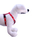 Reflective Hound Series 1' Harness, 28' - 36' - Jeffers - Dog Supplies > Dog Apparel > Dog Collars, Harnesses, & Leashes