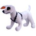 Reflective Hound Series Harness, 3/4' x 20' - 28' - Jeffers - Dog Supplies > Dog Apparel > Dog Collars, Harnesses, & Leashes