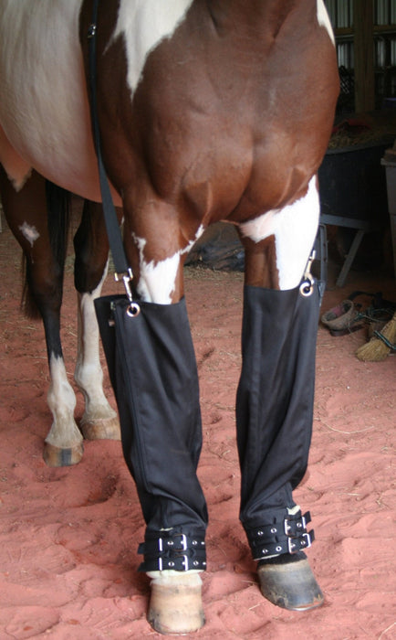 Roma Full Ice Boots, pair - Jeffers - Horse Supplies > Horse Boots & Leg Wraps