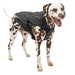 North Country Coat - Jeffers - Dog Supplies > Dog Apparel