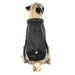 North Country Coat - Jeffers - Dog Supplies > Dog Apparel