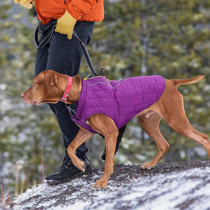 Kurgo Reversible Loft Jacket - Jeffers - Dog Supplies > Dog Apparel