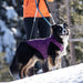 Kurgo Reversible Loft Jacket - Jeffers - Dog Supplies > Dog Apparel