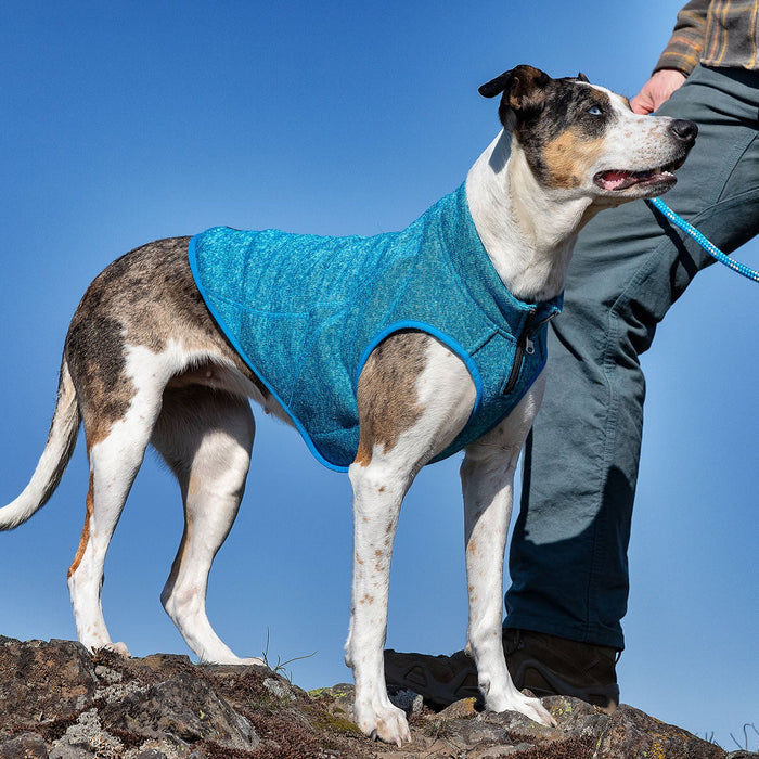 Kurgo K9 Core Sweater - Heather Blue XLarge 