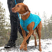 Kurgo K9 Core Sweater - Heather Blue XLarge 