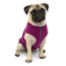 Kurgo K9 Core Sweater - Heather Violet Small 