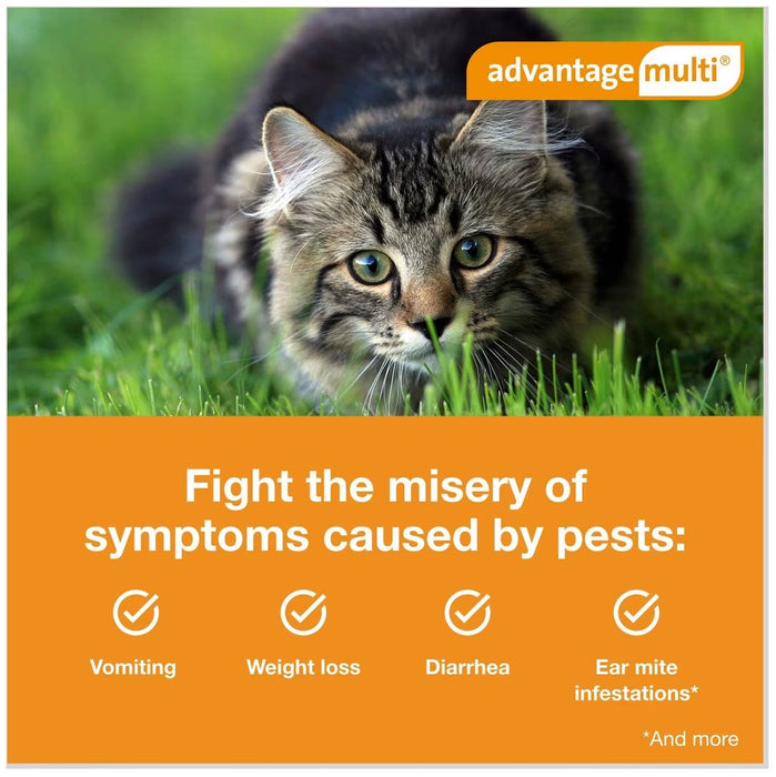 Rx Advantage Multi for Cats - Jeffers - Animal Health & Wellness > Flea & Tick Control