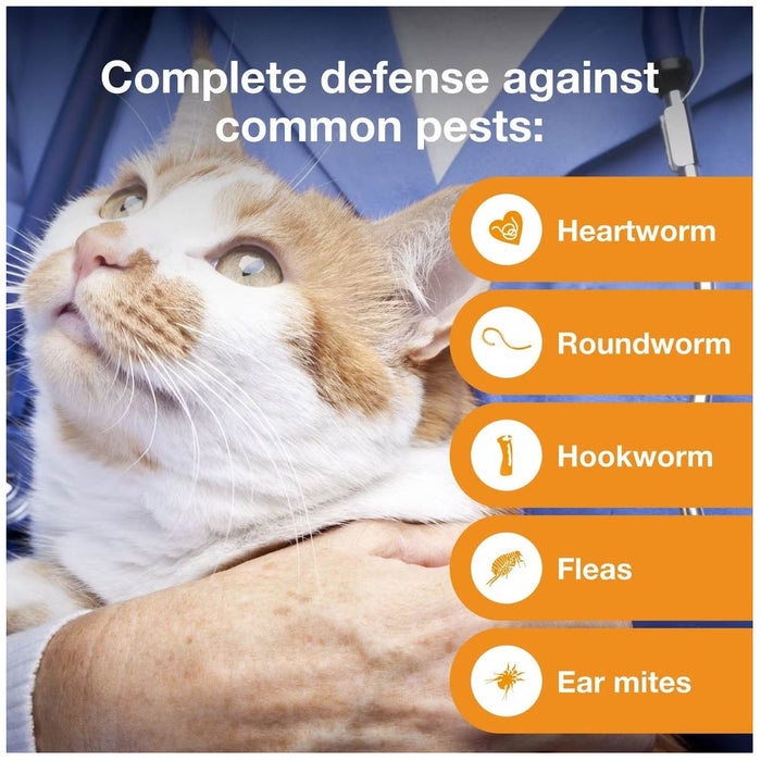 Rx Advantage Multi for Cats - Jeffers - Animal Health & Wellness > Flea & Tick Control