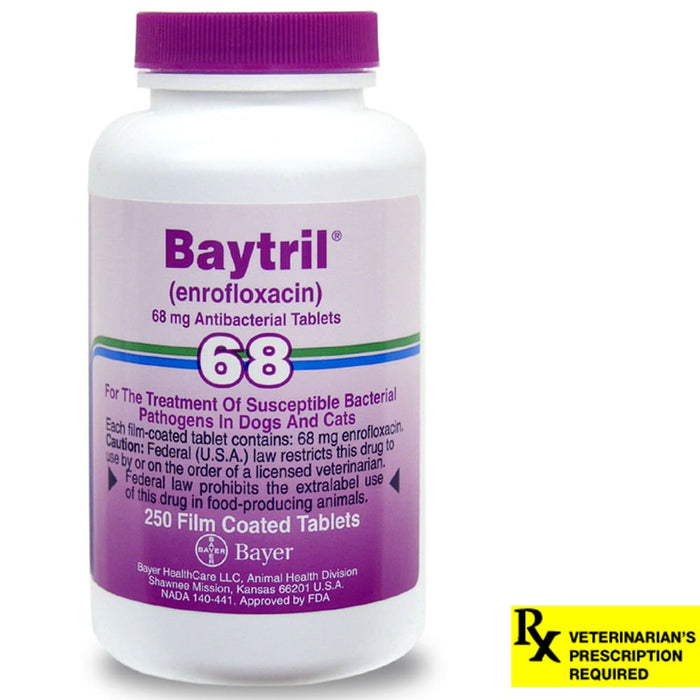 Rx Baytril for Dogs and Cats (Tablets) - Jeffers - Animal Health & Wellness > Medicine