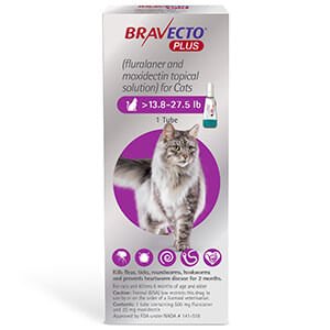 Rx BRAVECTO Plus Topical Cat - Jeffers - Animal Health & Wellness > Flea & Tick Control