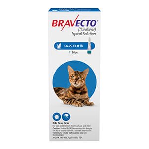 Rx BRAVECTO Topical Feline - Jeffers - Animal Health & Wellness > Flea & Tick Control