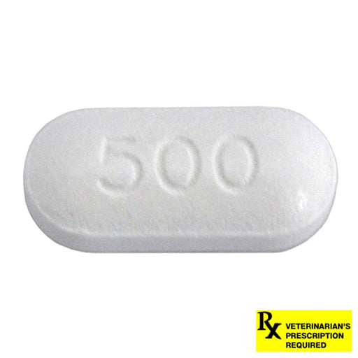 Rx Ciprofloxacin HCl Tablets - Jeffers - Animal Health & Wellness > Medicine