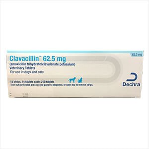 Rx Clavacillin Tablets - Jeffers - Animal Health & Wellness > Medicine