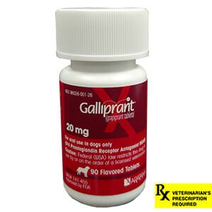 Rx Galliprant for Dogs - Jeffers - Animal Health & Wellness > Joint Health