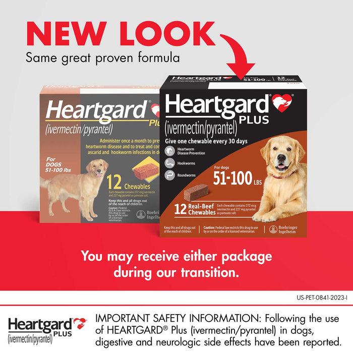 Rx Heartgard Plus, 12 Chews - Jeffers - Animal Health & Wellness > Medicine