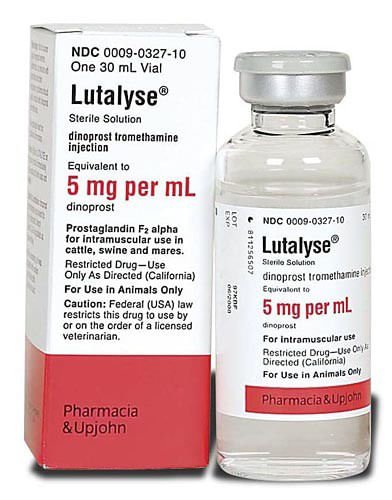 Rx Lutalyse Sterile Solution - Jeffers - Animal Health & Wellness > Medicine