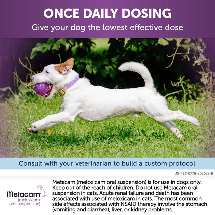 RX Metacam Oral Suspension - Jeffers - Animal Health & Wellness > Medicine