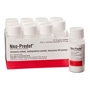 Rx Neo Predef w/Tetracaine Powder - Jeffers - Animal Health & Wellness > Medicine