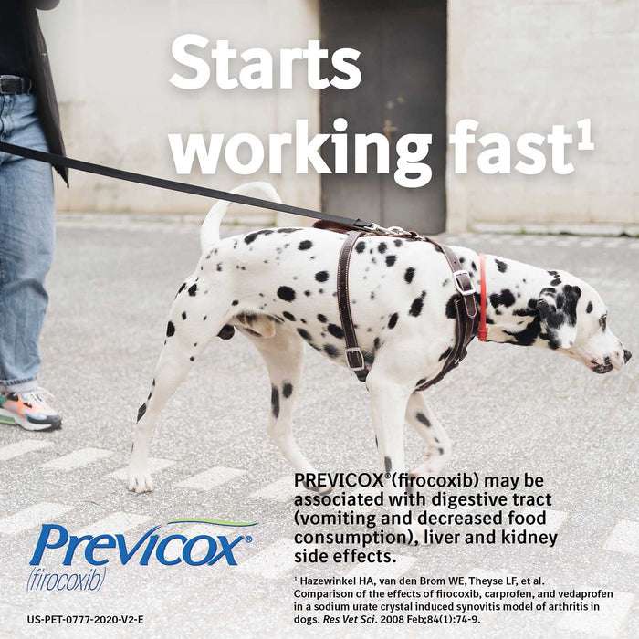 Rx Previcox Chew Tabs for Dogs - Jeffers - Animal Health & Wellness > Medicine