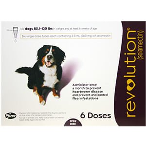 Rx Revolution Canine - Jeffers - Animal Health & Wellness > Flea & Tick Control