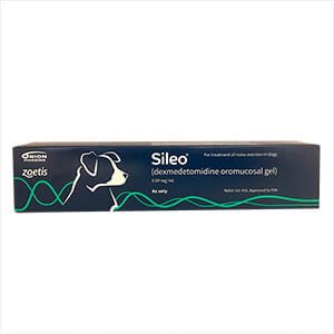 Rx Sileo Oromucosal Gel, 3ml Tube - Jeffers - Animal Health & Wellness > Medicine