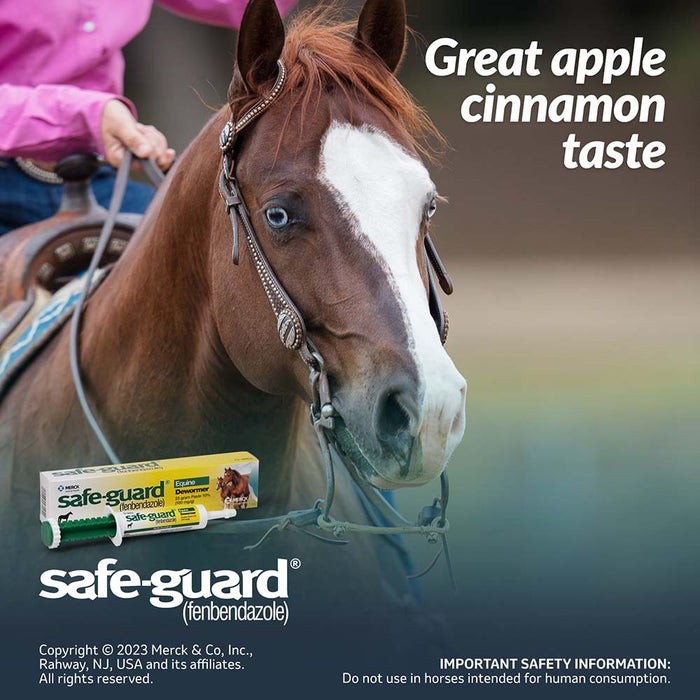 Safe - Guard Dewormer Paste - Jeffers - Animal Health & Wellness > Medicine