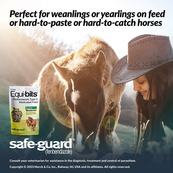 Safe - Guard Equi - Bits, 1.25 lb - Jeffers - Animal Health & Wellness > Medicine