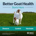 Safe - Guard Goat Dewormer (10% Suspension), 125 mL - Jeffers - Animal Health & Wellness > Medicine