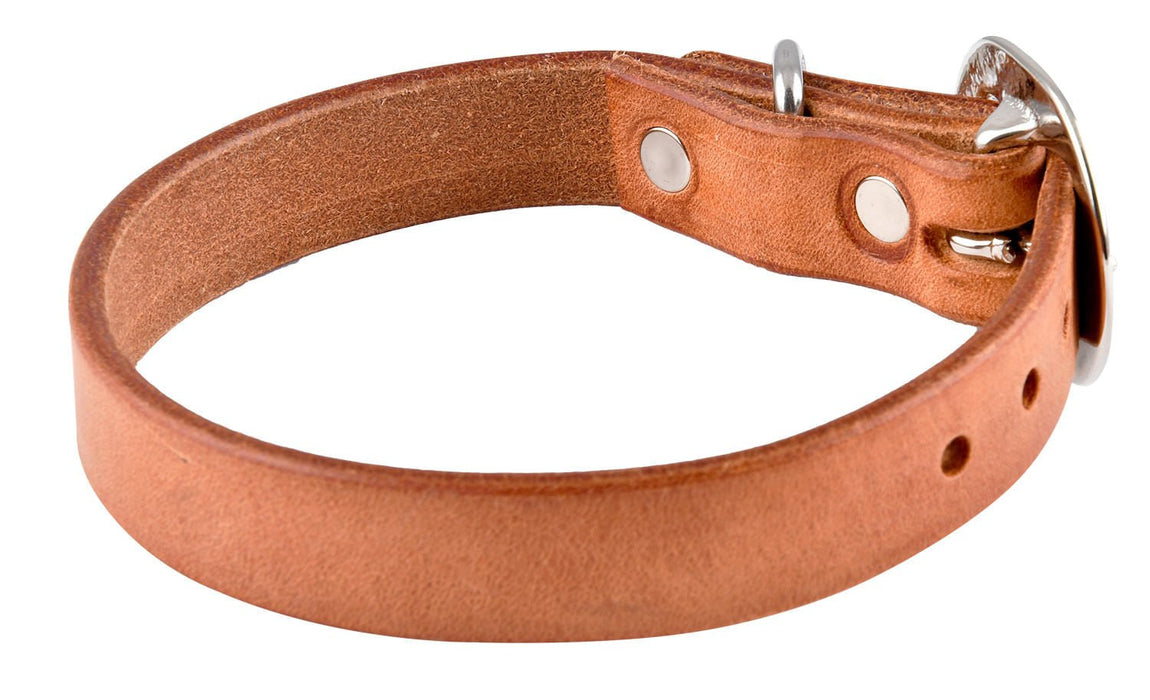 San Saba Dog Collar - Jeffers - Dog Supplies > Dog Apparel > Dog Collars, Harnesses, & Leashes