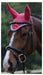 Saxon Coordinate Fly Veil, Full - Jeffers - Horse Supplies > Horse Fly Masks